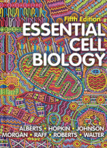 Essential Cell Biology, Fifth Edition
