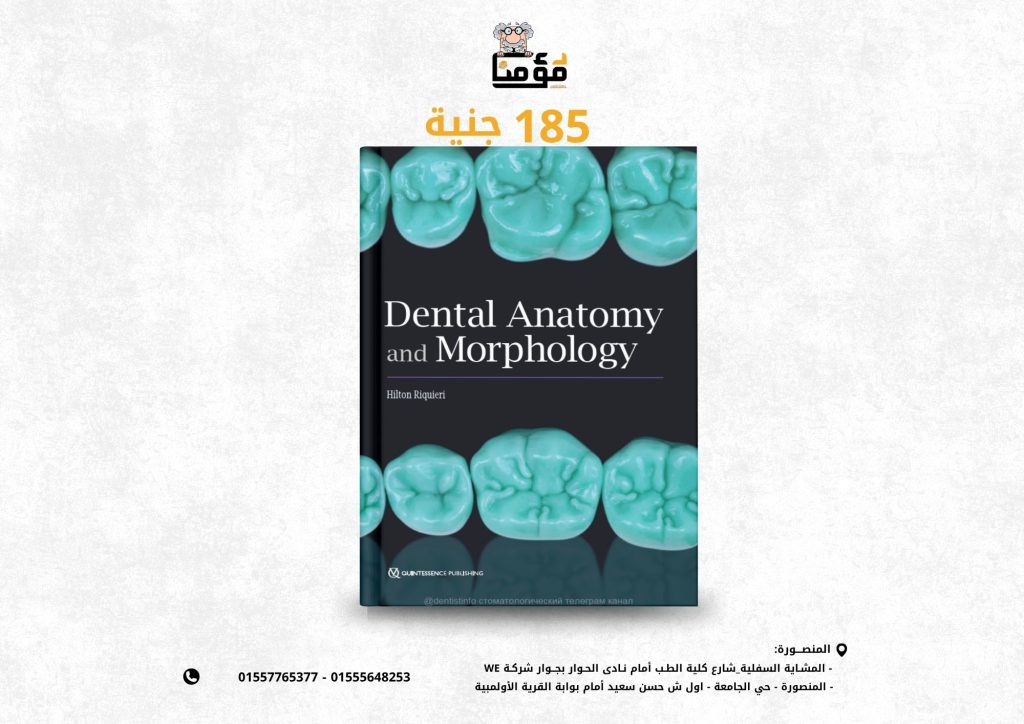 Dental Anatomy and Morphology