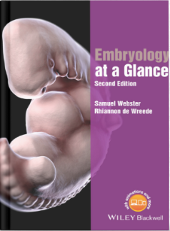 Embryology at a Glance