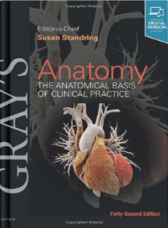 Gray's Anatomy: The Anatomical Basis of Clinical Practice