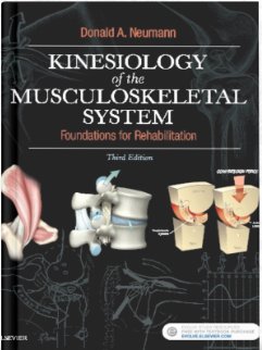 Kinesiology of the Musculoskeletal System: Foundations for Rehabilitation