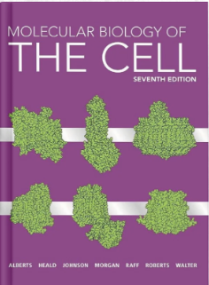 Molecular Biology of the Cell
