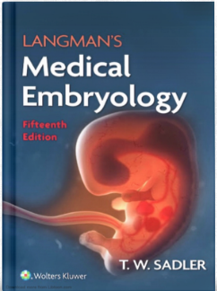 Langman's Medical Embryology
