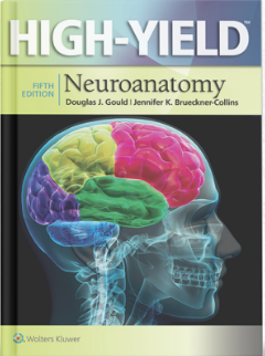 High-Yield Neuroanatomy