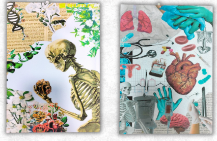 كشاكيل كبيرة مقاس ِA4 ورق كريمي