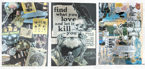 كشاكيل كبيرة مقاس ِA4 ورق كريمي